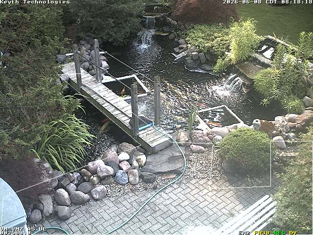 Camera Live Image