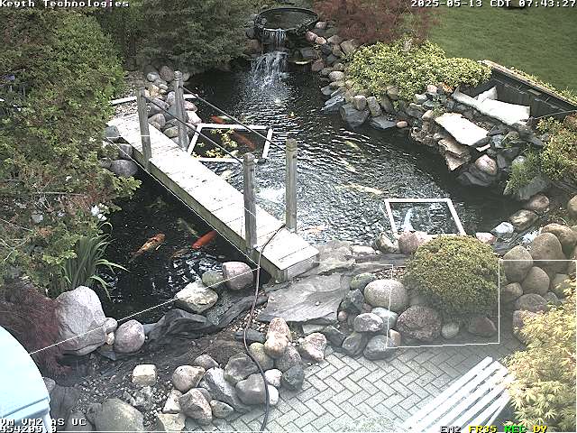 Camera Live Image