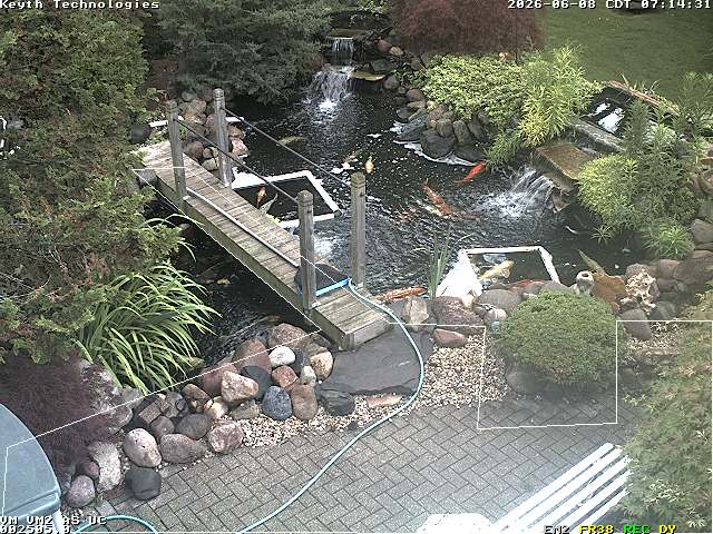 Camera Live Image