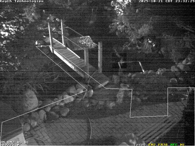 Camera Live Image