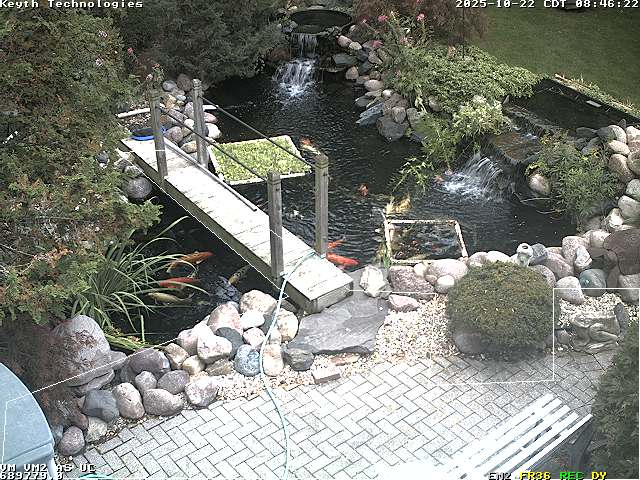 Camera Live Image
